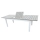 Table de jardin extensible aluminium bois composite- 180/240cm - 10 places - blanc gris- PALMA